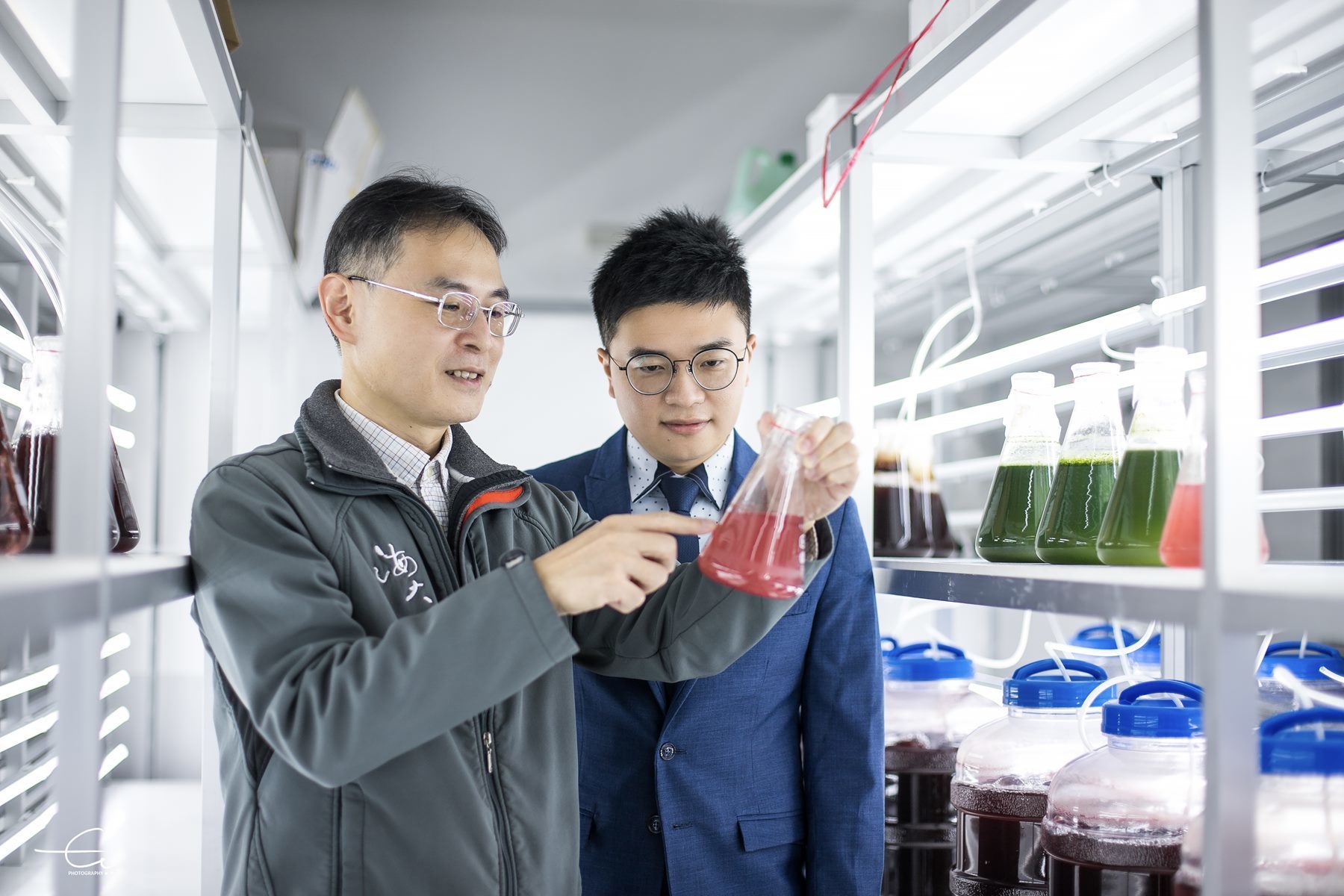 海大李孟洲教授臺灣寄絲藻研究 碳捕捉、高經濟價值具永續發展潛力
