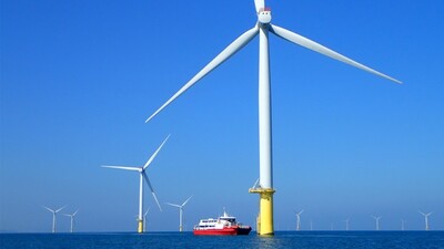 離岸風場成海洋綠洲 海大研究證實臺灣風機魚礁具備生態保育效益圖片